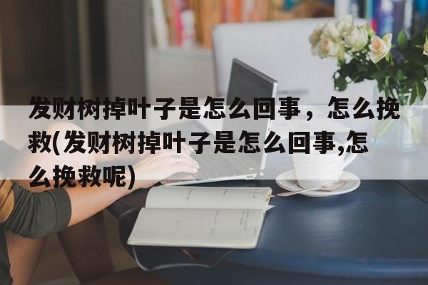 发财树掉叶子是怎么回事，怎么挽救(发财树掉叶子是怎么回事,怎么挽救呢)