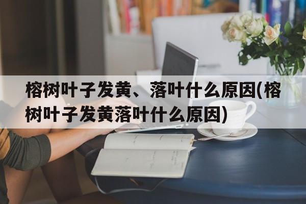 榕树叶子发黄、落叶什么原因(榕树叶子发黄落叶什么原因)