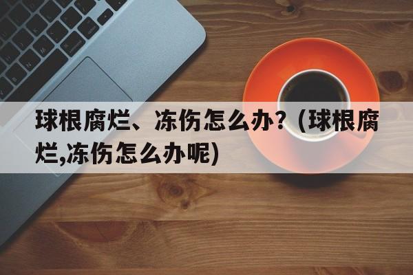 球根腐烂、冻伤怎么办？(球根腐烂,冻伤怎么办呢)