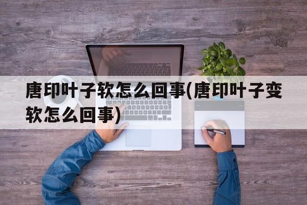 唐印叶子软怎么回事(唐印叶子变软怎么回事)