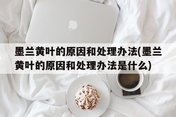 墨兰黄叶的原因和处理办法(墨兰黄叶的原因和处理办法是什么)