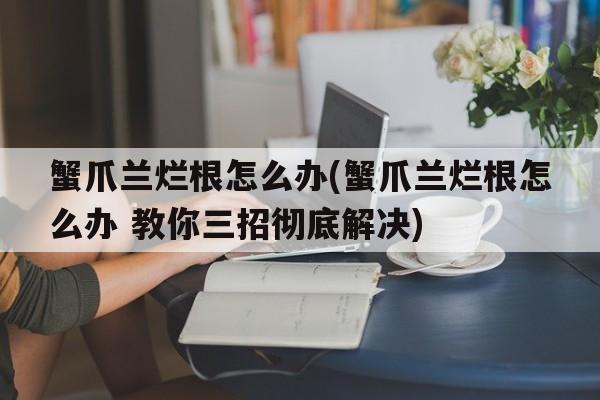 蟹爪兰烂根怎么办(蟹爪兰烂根怎么办 教你三招彻底解决)