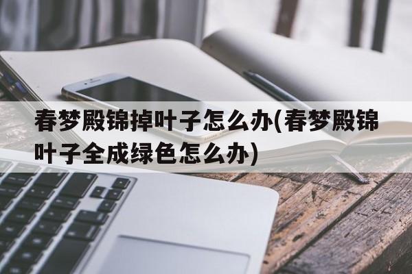 春梦殿锦掉叶子怎么办(春梦殿锦叶子全成绿色怎么办)