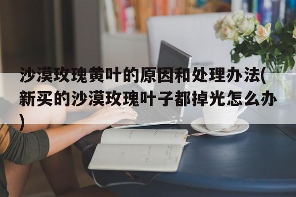 沙漠玫瑰黄叶的原因和处理办法(新买的沙漠玫瑰叶子都掉光怎么办)