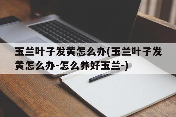 玉兰叶子发黄怎么办(玉兰叶子发黄怎么办-怎么养好玉兰-)