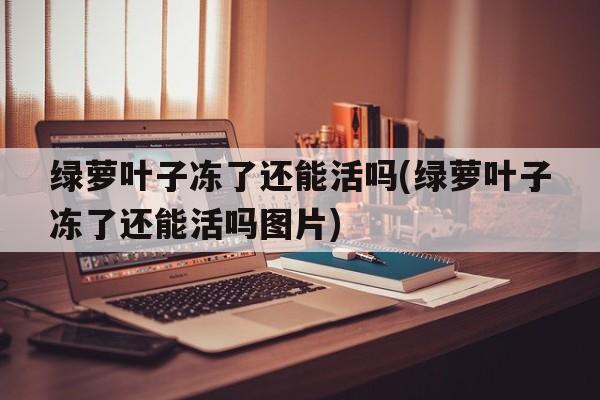 绿萝叶子冻了还能活吗(绿萝叶子冻了还能活吗图片)