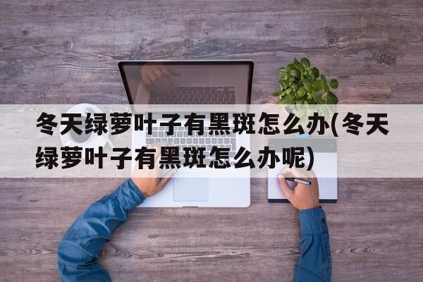 冬天绿萝叶子有黑斑怎么办(冬天绿萝叶子有黑斑怎么办呢)