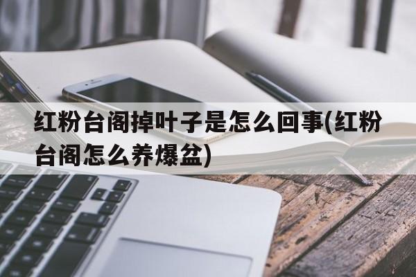 红粉台阁掉叶子是怎么回事(红粉台阁怎么养爆盆)