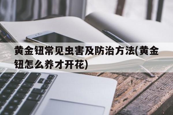 黄金钮常见虫害及防治方法(黄金钮怎么养才开花)