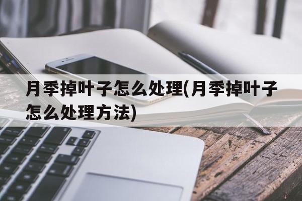 月季掉叶子怎么处理(月季掉叶子怎么处理方法)