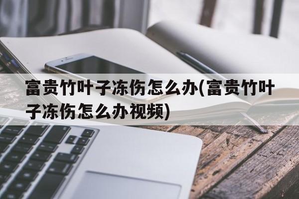 富贵竹叶子冻伤怎么办(富贵竹叶子冻伤怎么办视频)