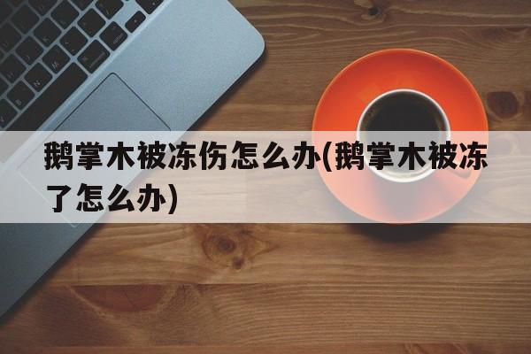 鹅掌木被冻伤怎么办(鹅掌木被冻了怎么办)