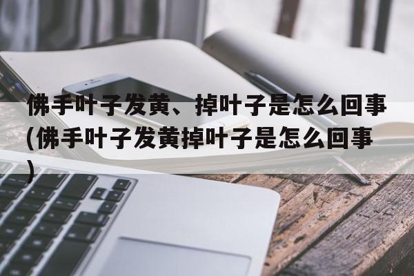 佛手叶子发黄、掉叶子是怎么回事(佛手叶子发黄掉叶子是怎么回事)