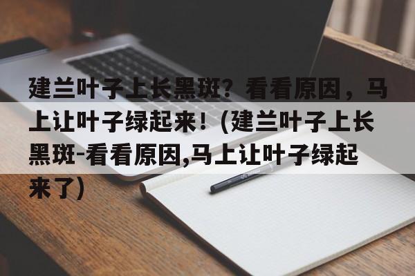 建兰叶子上长黑斑？看看原因，马上让叶子绿起来！(建兰叶子上长黑斑-看看原因,马上让叶子绿起来了)