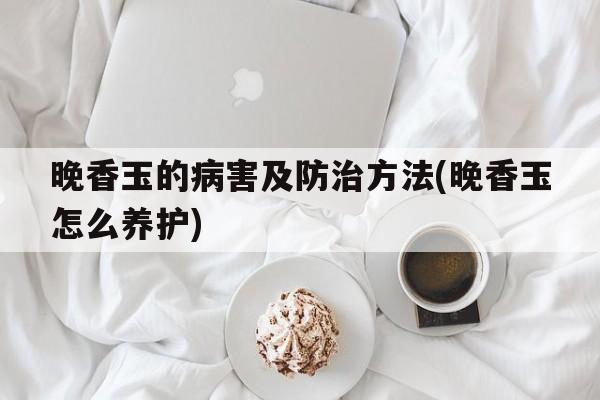 晚香玉的病害及防治方法(晚香玉怎么养护)