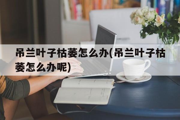 吊兰叶子枯萎怎么办(吊兰叶子枯萎怎么办呢)