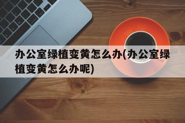 办公室绿植变黄怎么办(办公室绿植变黄怎么办呢)