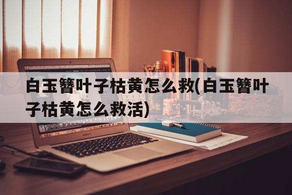 白玉簪叶子枯黄怎么救(白玉簪叶子枯黄怎么救活)