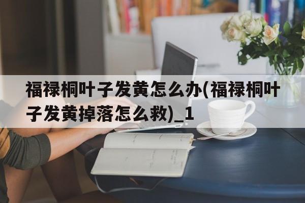 福禄桐叶子发黄怎么办(福禄桐叶子发黄掉落怎么救)_1