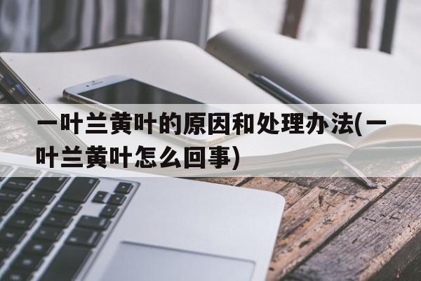 一叶兰黄叶的原因和处理办法(一叶兰黄叶怎么回事)