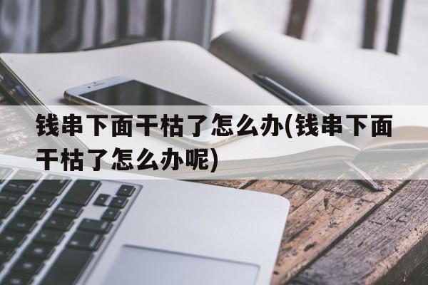 钱串下面干枯了怎么办(钱串下面干枯了怎么办呢)