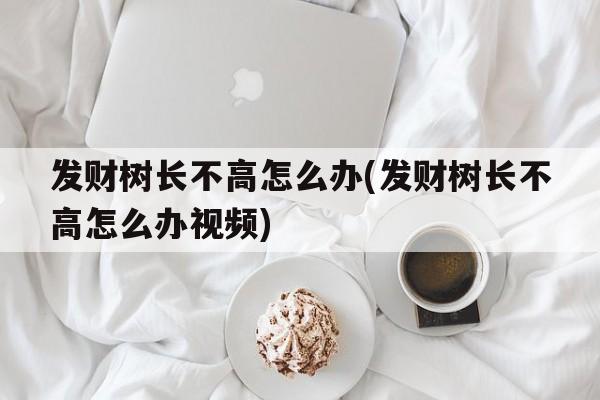 发财树长不高怎么办(发财树长不高怎么办视频)