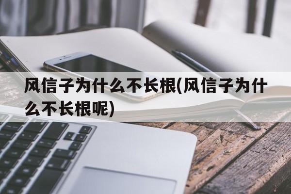 风信子为什么不长根(风信子为什么不长根呢)