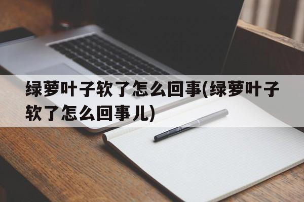 绿萝叶子软了怎么回事(绿萝叶子软了怎么回事儿)