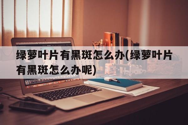 绿萝叶片有黑斑怎么办(绿萝叶片有黑斑怎么办呢)