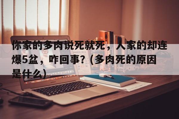 你家的多肉说死就死，人家的却连爆5盆，咋回事？(多肉死的原因是什么)