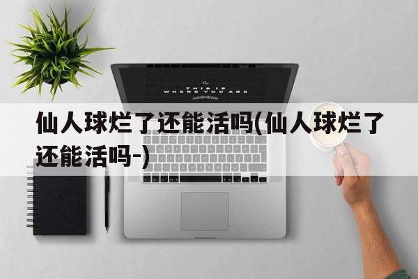 仙人球烂了还能活吗(仙人球烂了还能活吗-)