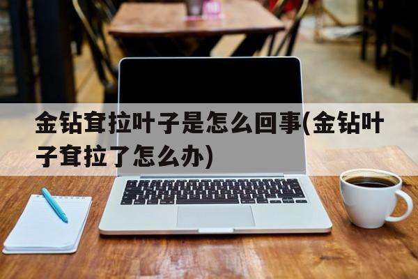 金钻耷拉叶子是怎么回事(金钻叶子耷拉了怎么办)