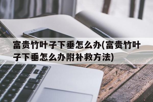 富贵竹叶子下垂怎么办(富贵竹叶子下垂怎么办附补救方法)