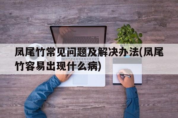 凤尾竹常见问题及解决办法(凤尾竹容易出现什么病)