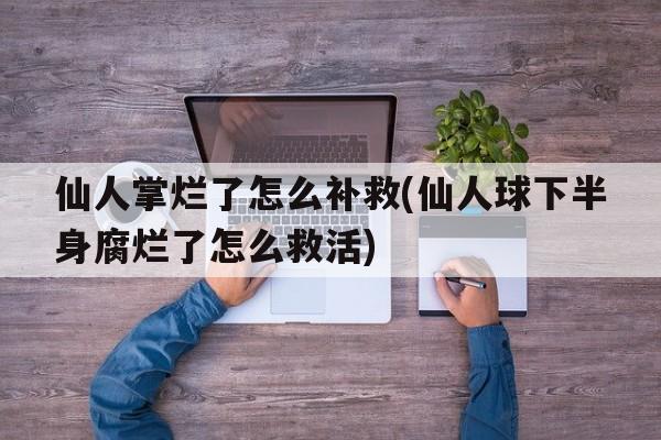 仙人掌烂了怎么补救(仙人球下半身腐烂了怎么救活)