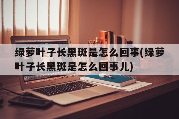 绿萝叶子长黑斑是怎么回事(绿萝叶子长黑斑是怎么回事儿)