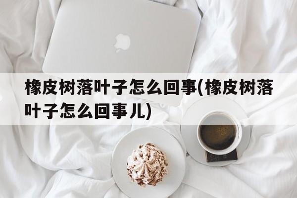 橡皮树落叶子怎么回事(橡皮树落叶子怎么回事儿)