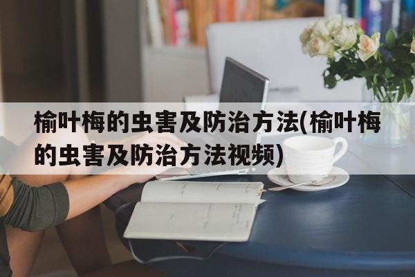 榆叶梅的虫害及防治方法(榆叶梅的虫害及防治方法视频)