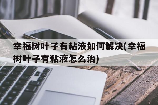 幸福树叶子有粘液如何解决(幸福树叶子有粘液怎么治)