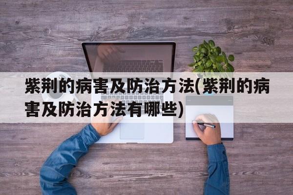 紫荆的病害及防治方法(紫荆的病害及防治方法有哪些)