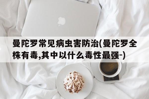 曼陀罗常见病虫害防治(曼陀罗全株有毒,其中以什么毒性最强-)