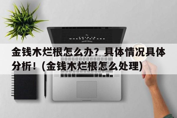 金钱木烂根怎么办？具体情况具体分析！(金钱木烂根怎么处理)