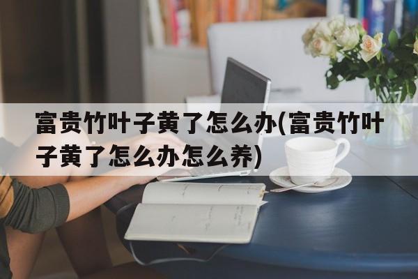 富贵竹叶子黄了怎么办(富贵竹叶子黄了怎么办怎么养)