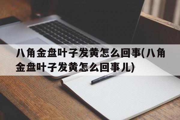 八角金盘叶子发黄怎么回事(八角金盘叶子发黄怎么回事儿)