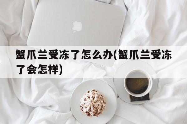 蟹爪兰受冻了怎么办(蟹爪兰受冻了会怎样)