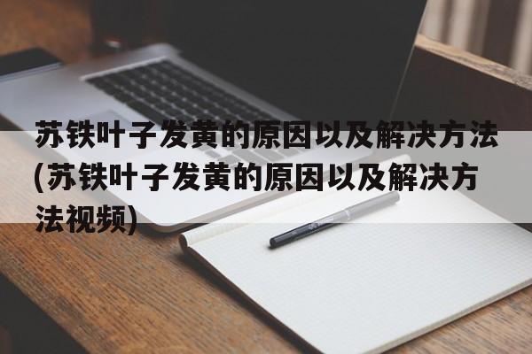 苏铁叶子发黄的原因以及解决方法(苏铁叶子发黄的原因以及解决方法视频)