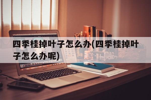 四季桂掉叶子怎么办(四季桂掉叶子怎么办呢)