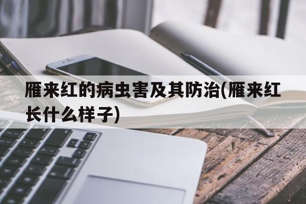 雁来红的病虫害及其防治(雁来红长什么样子)