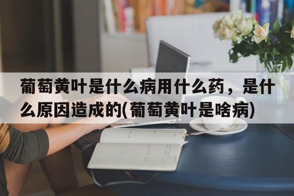 葡萄黄叶是什么病用什么药，是什么原因造成的(葡萄黄叶是啥病)